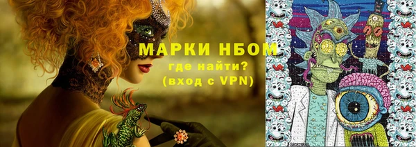 спайс Гусь-Хрустальный