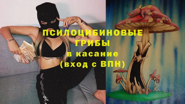 спайс Гусь-Хрустальный