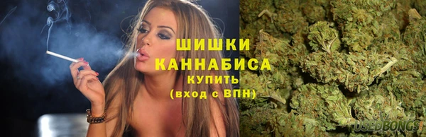 спайс Гусь-Хрустальный