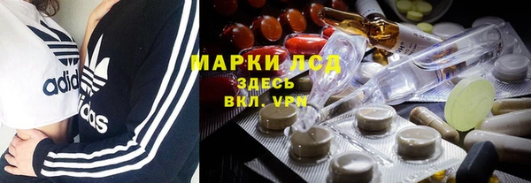 спайс Гусь-Хрустальный