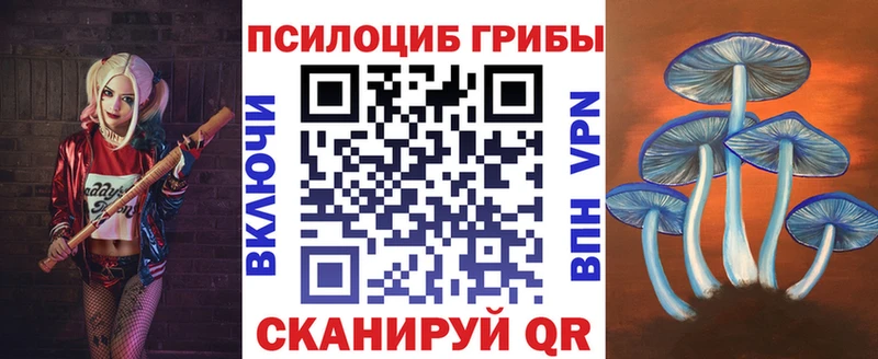 цены наркотик  omg ТОР  Галлюциногенные грибы GOLDEN TEACHER  Карасук 
